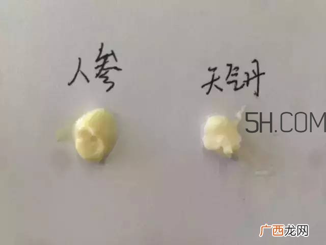 雪花秀人参面霜和whoo后天气丹面霜哪个好?