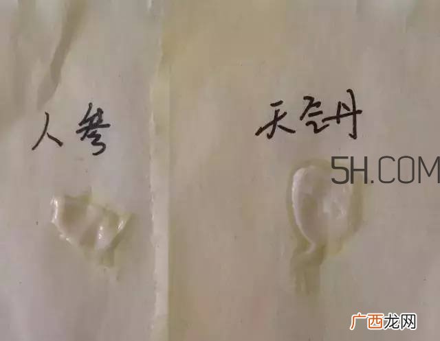 雪花秀人参面霜和whoo后天气丹面霜哪个好?