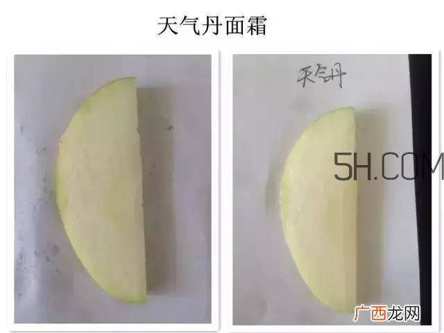 雪花秀人参面霜和whoo后天气丹面霜哪个好?