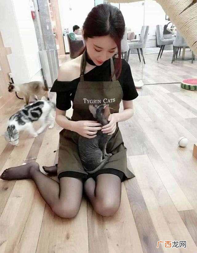 靠谱的网络兼职有哪些，利用空余时间，做点兼