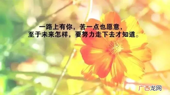 感恩相遇的每一个朋友 感恩相遇
