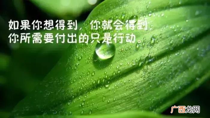 感恩相遇的每一个朋友 感恩相遇