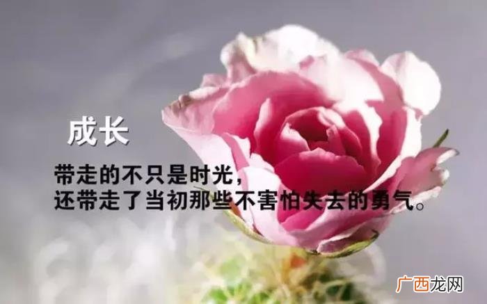 感恩相遇的每一个朋友 感恩相遇