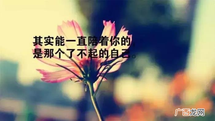 感恩相遇的每一个朋友 感恩相遇