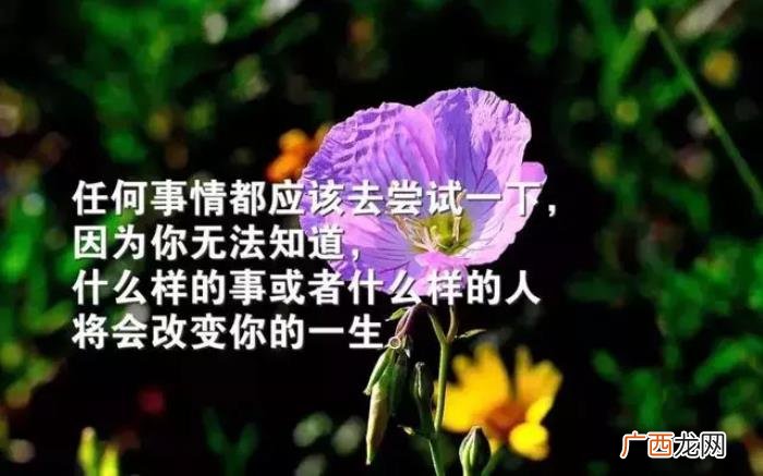 感恩相遇的每一个朋友 感恩相遇
