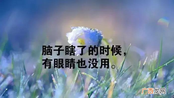 感恩相遇的每一个朋友 感恩相遇