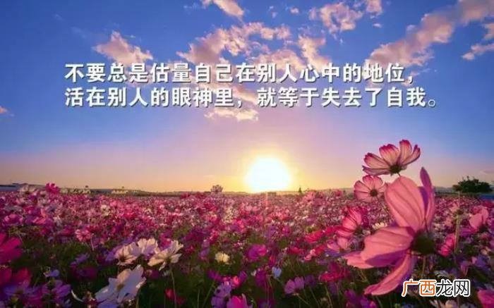 感恩相遇的每一个朋友 感恩相遇