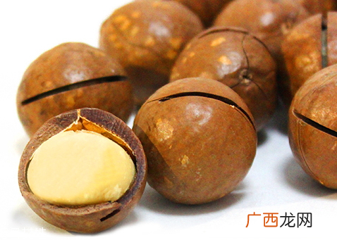 夏威夷果怎么开用开壳器轻轻一撬就能打开