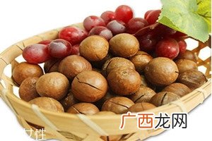 夏威夷果怎么开用开壳器轻轻一撬就能打开