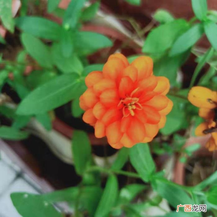 做一个潇洒、豁达的女人 潇洒的女人是什么样子