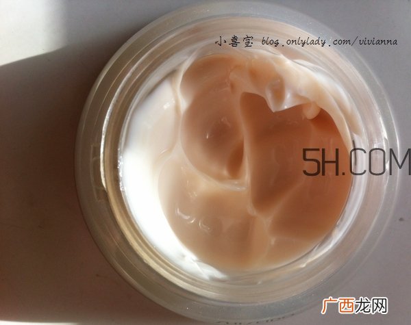 资生堂百优面霜和雅诗兰黛红石榴面霜哪个好?