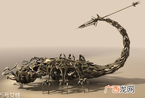 蝎子多少钱一斤2018蝎子的药用价值