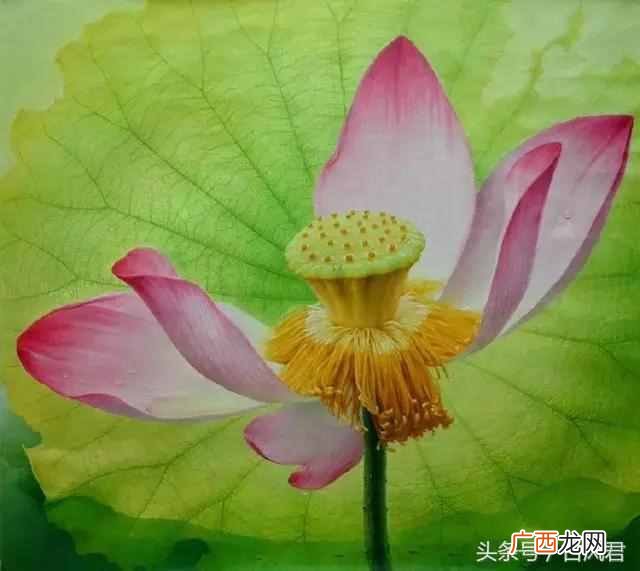刘禹锡的诗全集有哪些，刘禹锡是哪个朝代的人