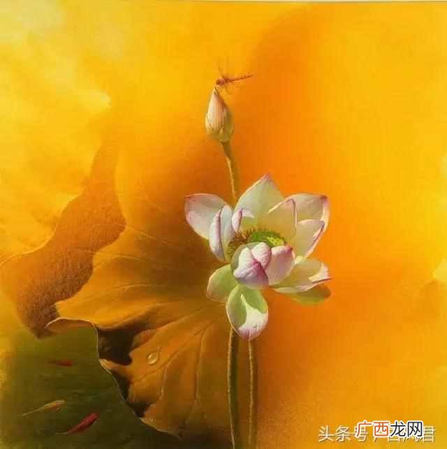 刘禹锡的诗全集有哪些，刘禹锡是哪个朝代的人