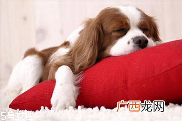 睡觉突然抖一下的原因睡觉突然抽搐