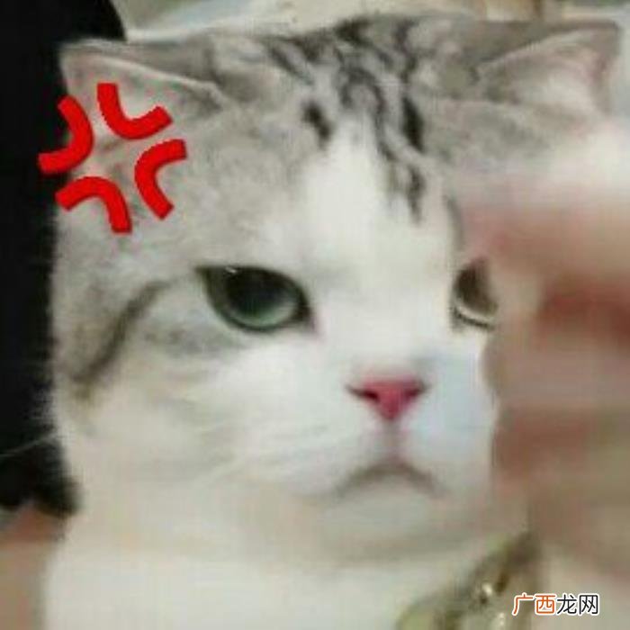 男朋友不解风情，男朋友到底能有多不解风情