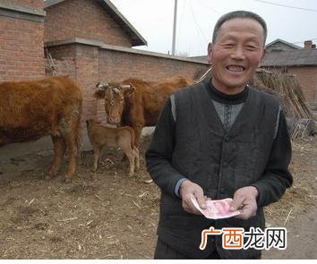 建一个100头牛的养殖场多钱 养殖100头牛有补贴吗