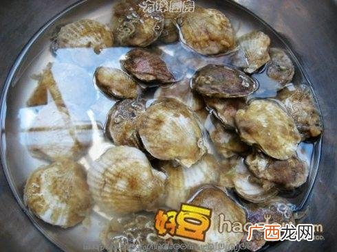 贝壳类海鲜盐°C要多少 养殖贝类盐度