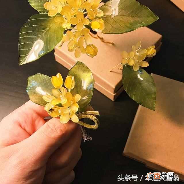 在家兼职可信吗，在家日结不收取任何费用，适