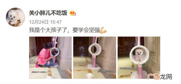 鹿晗和关晓彤多大年龄，23岁关晓彤疑被鹿晗抛弃