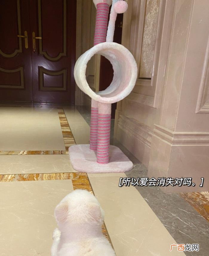 鹿晗和关晓彤多大年龄，23岁关晓彤疑被鹿晗抛弃