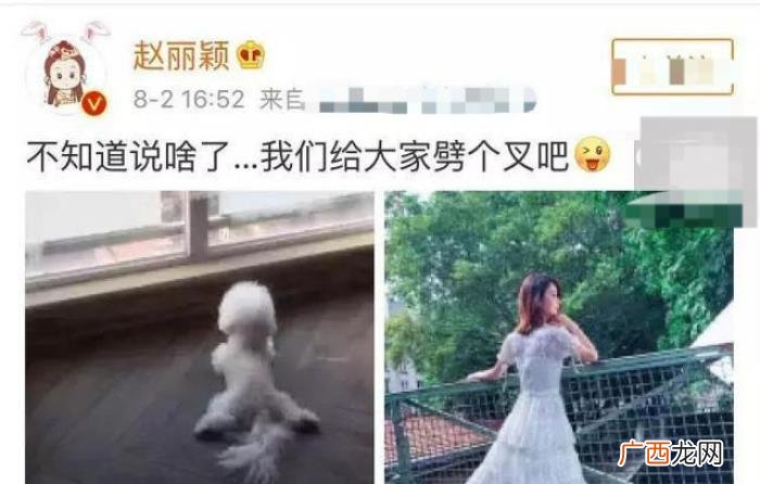 杨幂怀孕肚子疼，杨幂被传再婚且已怀孕