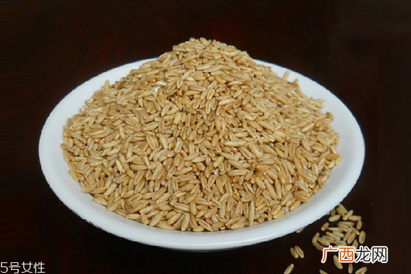 燕麦是小麦吗两种不同的谷物