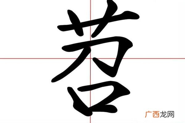 湖北话苕是什么意思？吃与苕有关的食物好处多