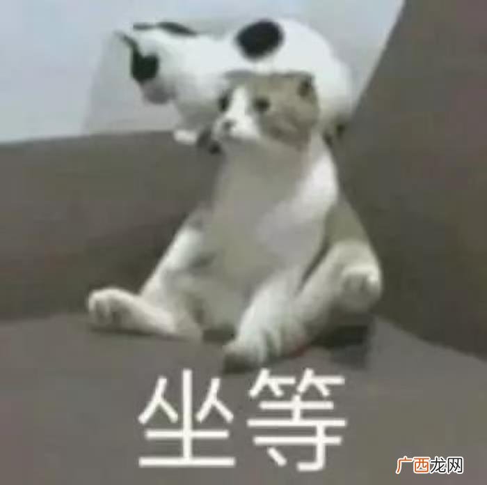 男朋友绰号大全，你怎么称呼闺密的男朋友