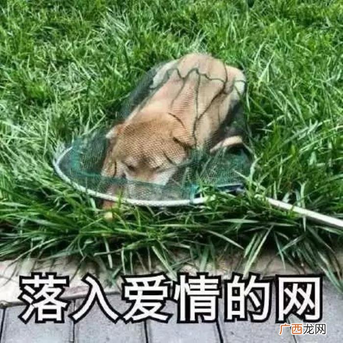 男朋友绰号大全，你怎么称呼闺密的男朋友