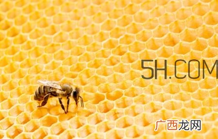 雅顿身体乳怎么样 雅顿身体乳保质期