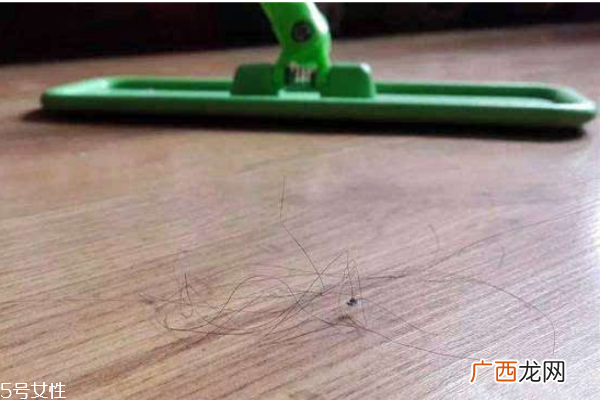 吸尘器有必要买吗教你吸尘器怎么选