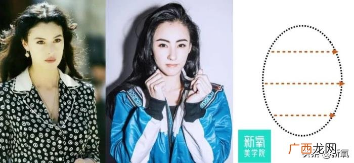金晨为什么，为什么金晨的脸整形痕迹那么明显