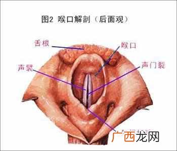 治疗咽炎的偏方有哪些，咽炎有哪些症状！