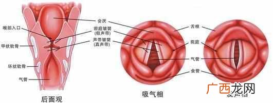 治疗咽炎的偏方有哪些，咽炎有哪些症状！