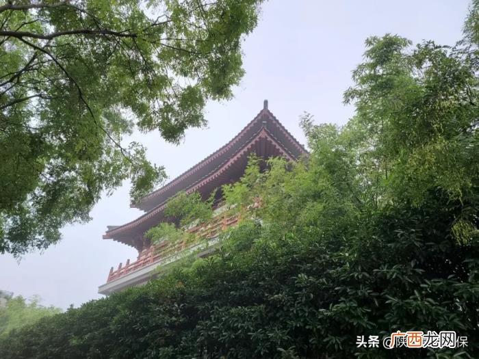晒晒发霉的自己和秋裤 晒晒发霉心情的句子