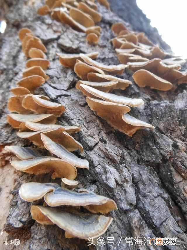 痛经是什么引起的，痛经解决方法推荐！