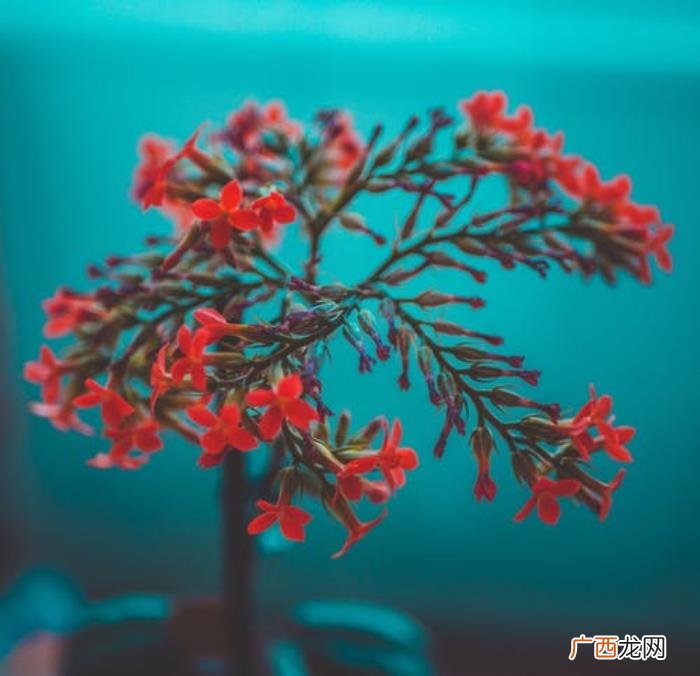 怎么才能彻底忘记前任，分手后忘掉前任最好的办法