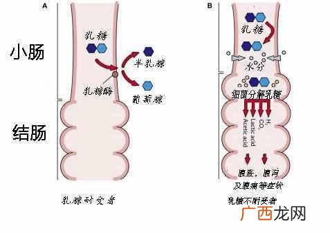 新生儿腹泻的原因有哪些，教你快速止泻！