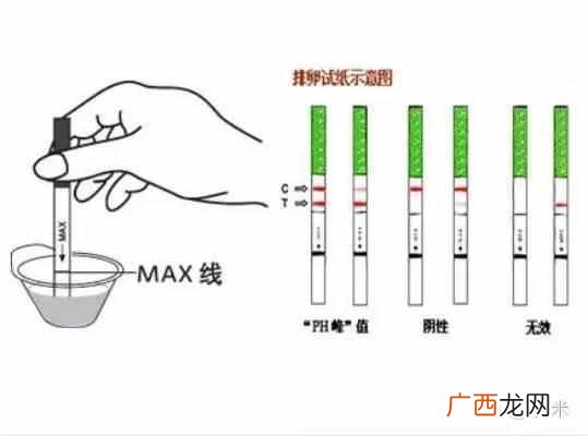 排卵试纸测怀孕的原理是什么,准不准!