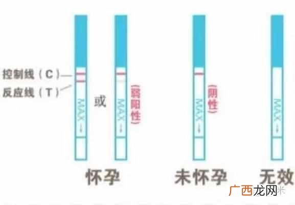 排卵试纸测怀孕的原理是什么,准不准!