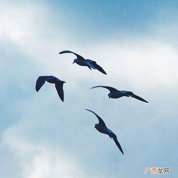 现实社会的经典句子 社会现实的经典句子