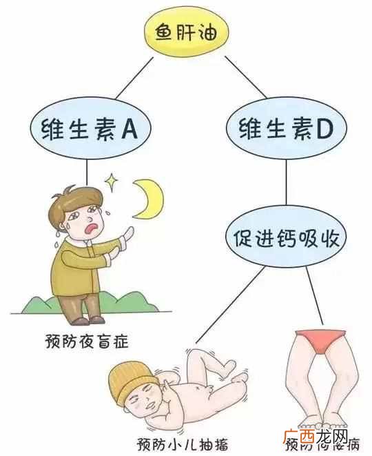 鱼油和鱼肝油的区别有哪些,你懂多少!