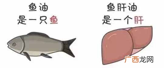 鱼油和鱼肝油的区别有哪些,你懂多少!