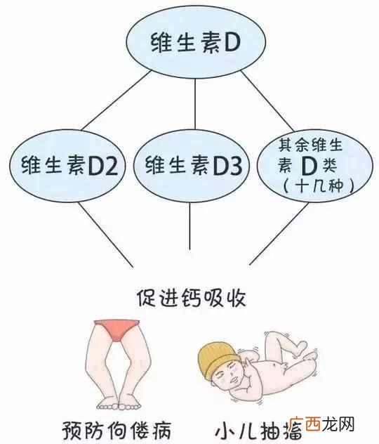 鱼油和鱼肝油的区别有哪些,你懂多少!