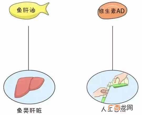 鱼油和鱼肝油的区别有哪些,你懂多少!