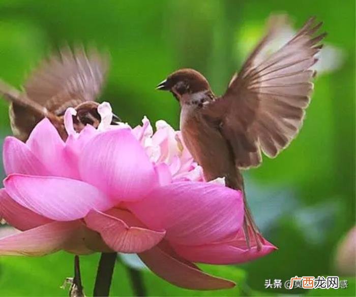 老公出轨后最佳处理方式是什么 发现老公出轨了怎么做最明智