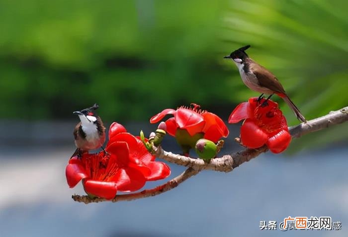 老公出轨后最佳处理方式是什么 发现老公出轨了怎么做最明智