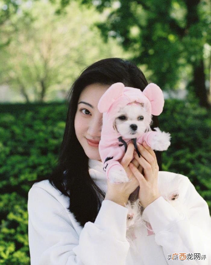 李沁张馨予,李治廷景甜李沁张馨予戚薇晒鲜花美食