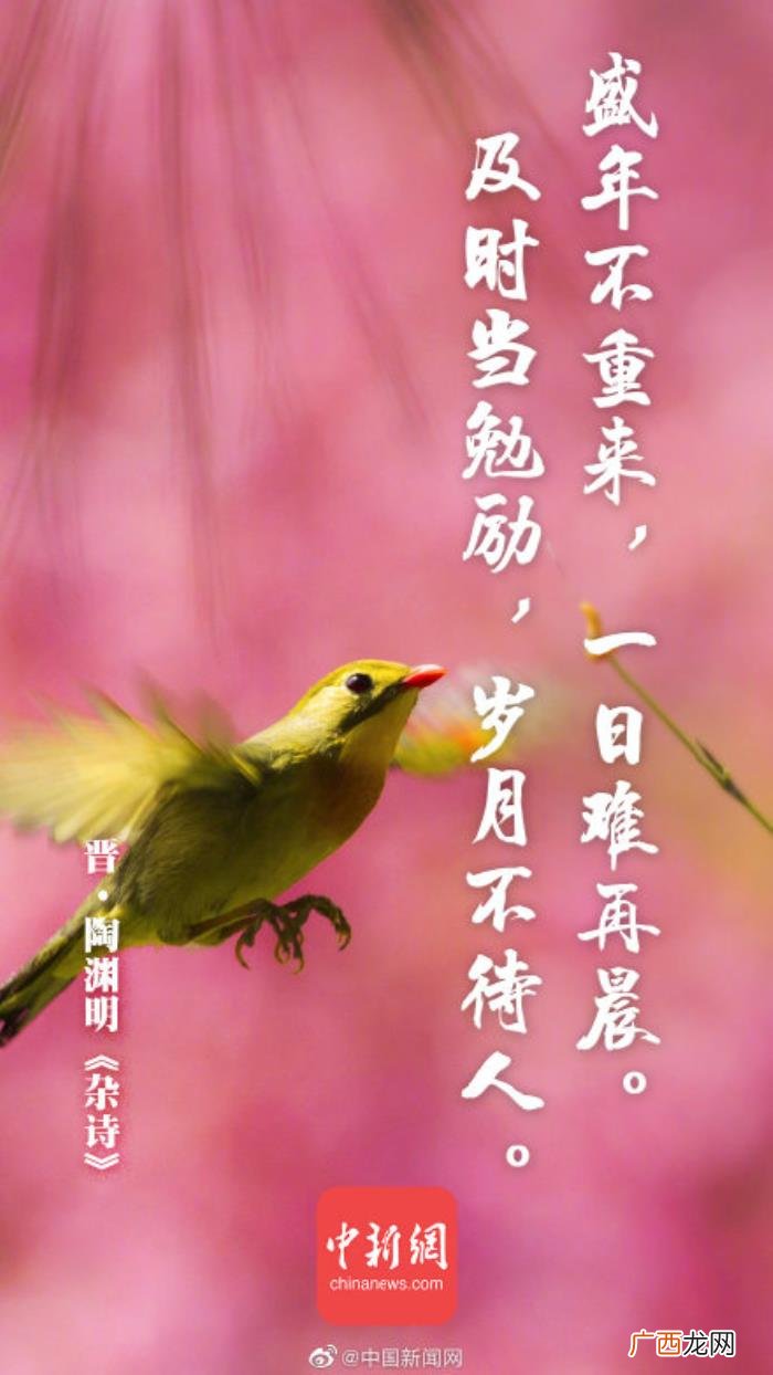 赞美女人勤劳能干的诗，勤劳的你血槽又满了吗
